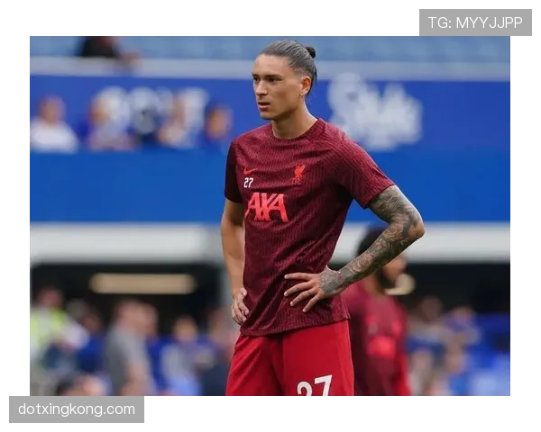 努涅斯的转会费是否存在溢价？